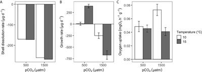 Acidification and high-temperature impacts on energetics and shell production of the edible clam Ameghinomya antiqua